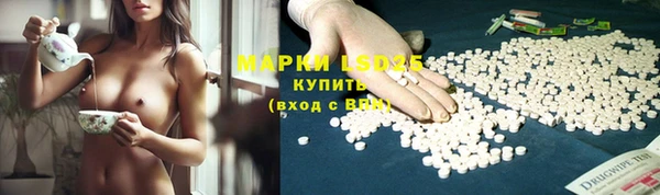 прущие грибы Белокуриха