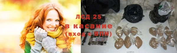 прущие грибы Белокуриха