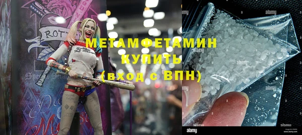 прущие грибы Белокуриха