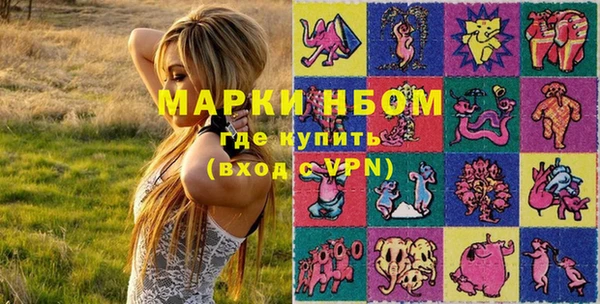 прущие грибы Белокуриха