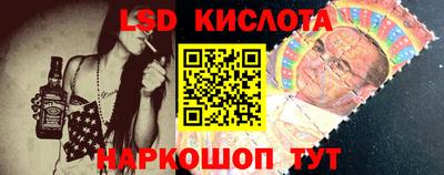 амф Гусев