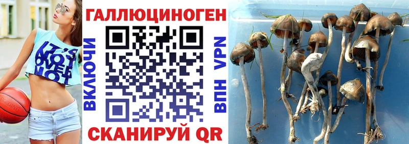 Галлюциногенные грибы прущие грибы  Бугульма 