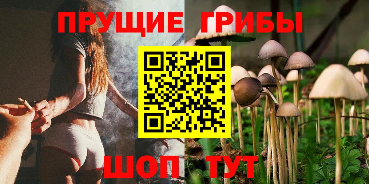 Галлюциногенные грибы мицелий Бугульма