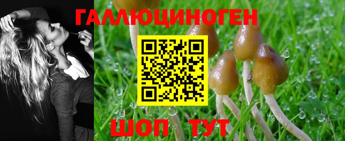 Псилоцибиновые грибы Psilocybine cubensis  Вход с VPN  Бугульма 