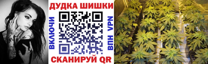 Бошки Шишки план Бугульма